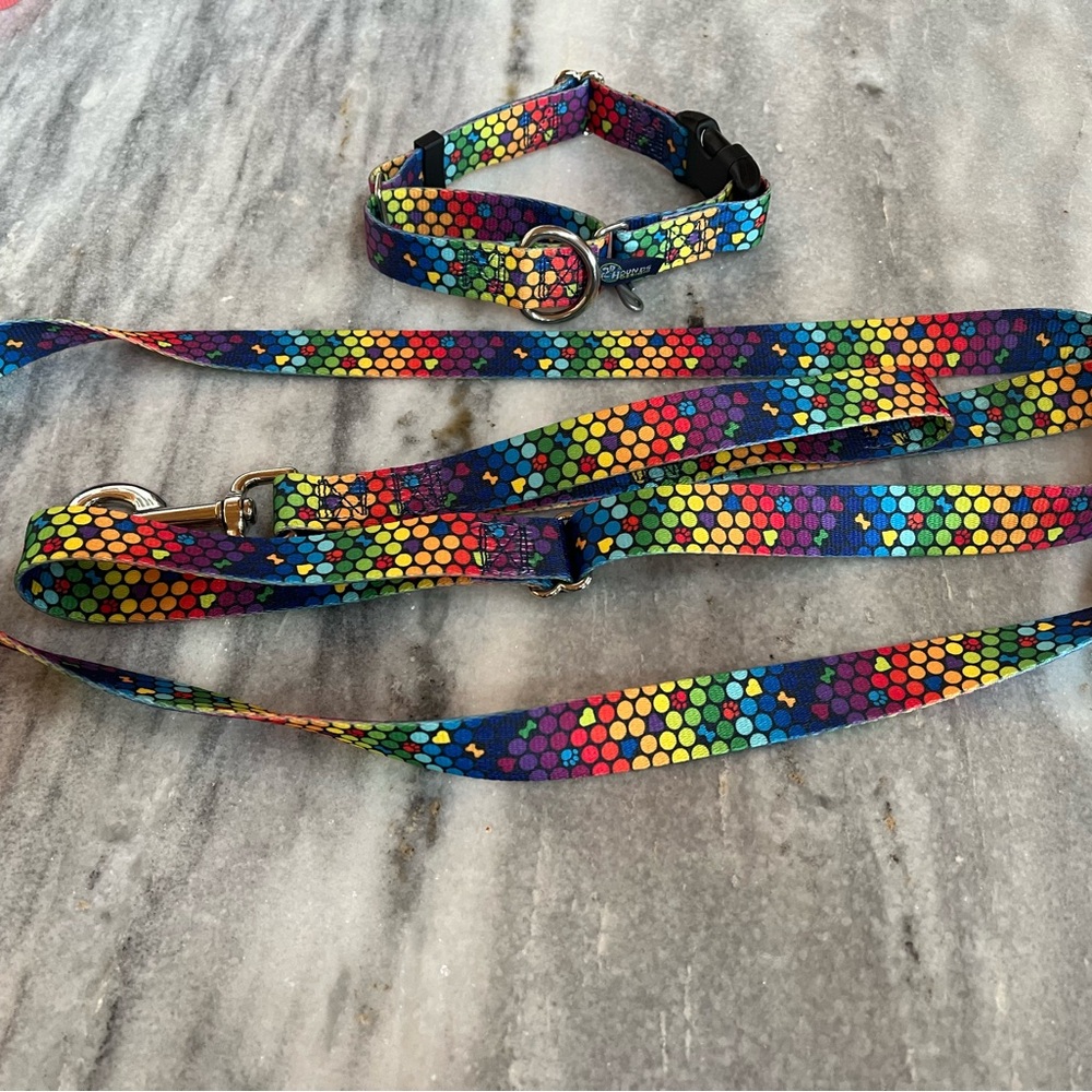 2 Hounds Designs Martingale Collar and Leash - Picture 2 of 3